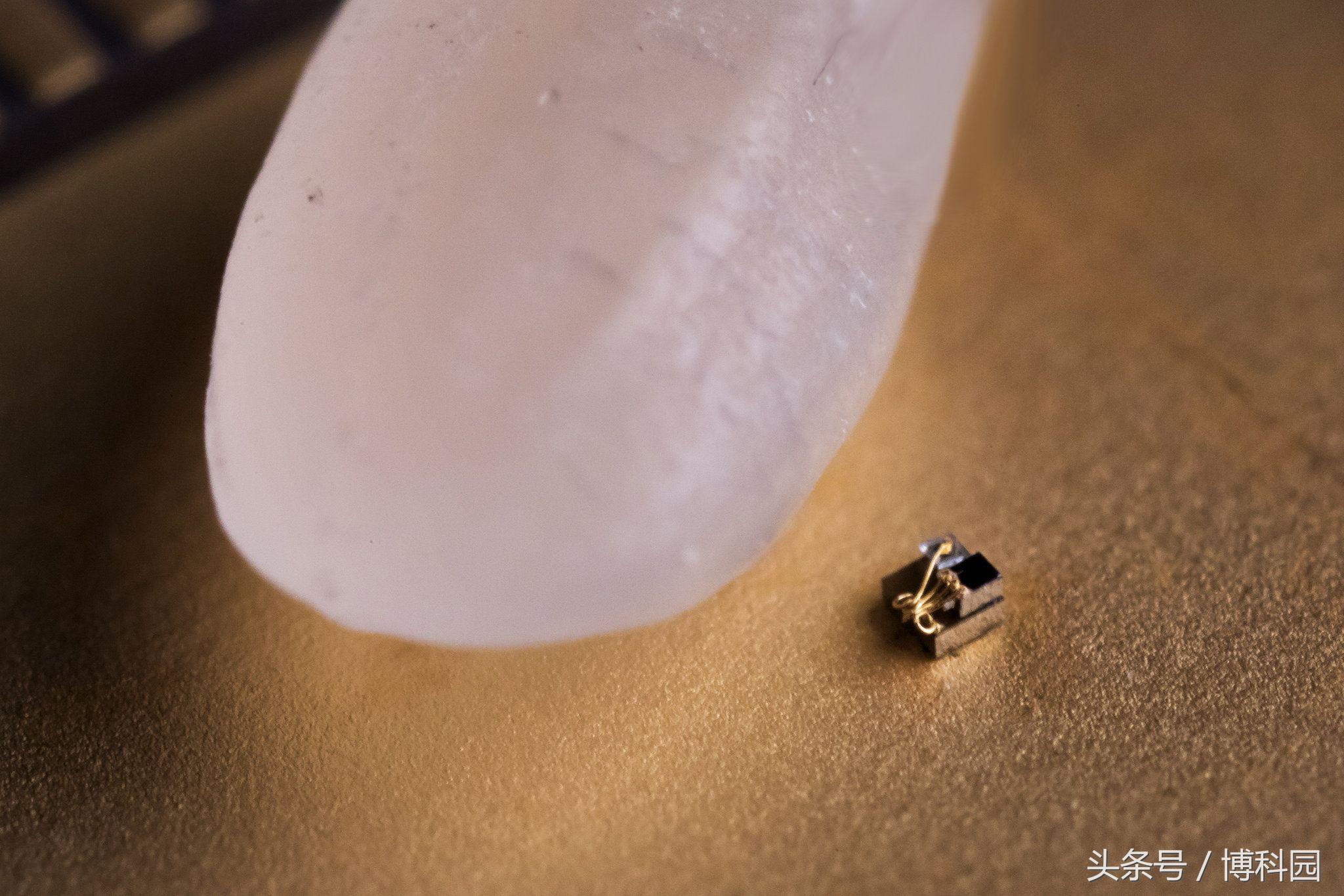 世界上最小“计算机”只有0.3毫米大