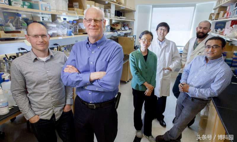 研究小组发现阻止癌细胞扩散的药物化合物