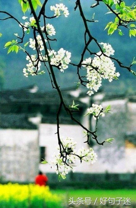 古风霸气潇洒的句子 若得青锋三尺剑，醉罢斩天落长虹图片