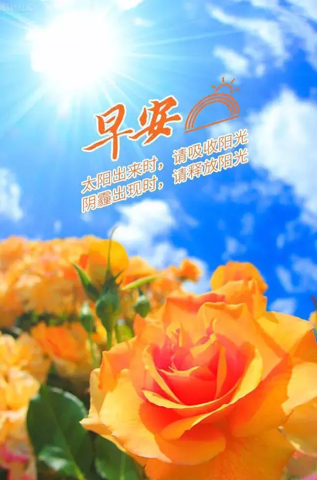 朋友圈最全最美早安最火图片大全图片