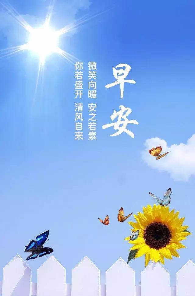 朋友圈最全最美早安最火图片大全图片