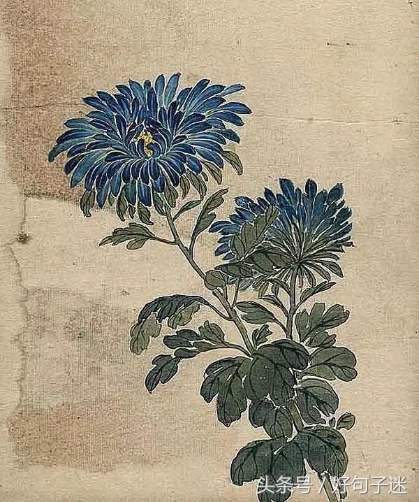 美到窒息的古风句子  你本无意穿堂风，却偏偏孤倨引山洪图片