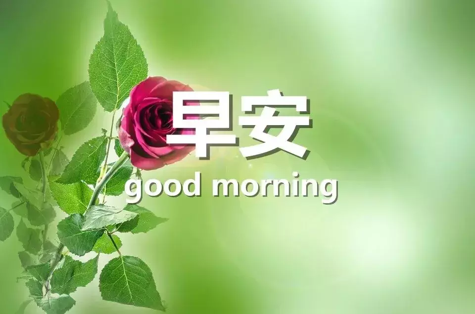 新的一天精美早安心语 早安问候语图片大全