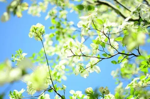 一句话的简单早安说说发朋友圈 简单大气早安心语图片