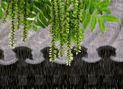 风吹夏雨暑气消：8首诗词迎来小暑后的夏天！-第7张图片-非凡网