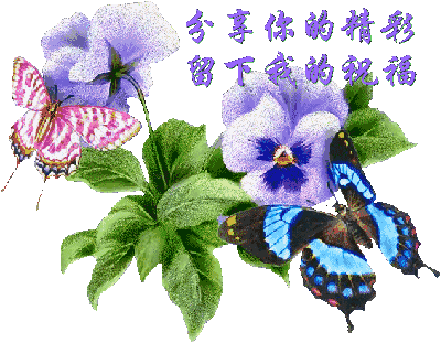下午好祝福语 下午好祝福美图图片