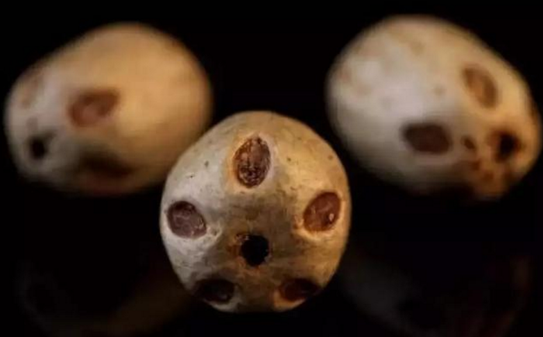九種最常見的菩提子手串，你見過哪些？