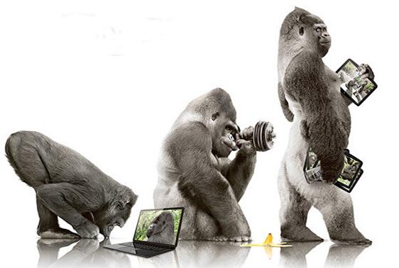 你能摔2年的手机屏：康宁第六代大猩猩玻璃公布