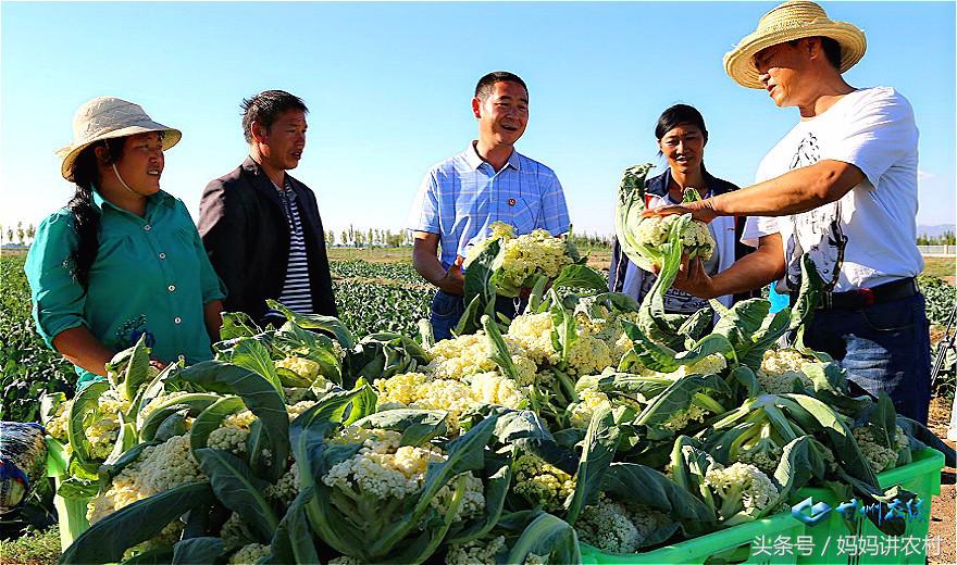 What the country stays behind is old male, increasing, is this why? 