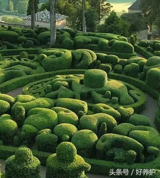 园林艺术：萌化众生的绿篱