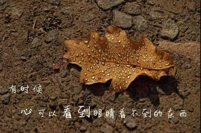 微信朋友圈感悟人生的精辟句子 朋友圈简短窝心的心情句子