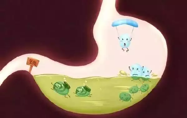 益生菌选择科普,有些益生菌吃了等于白吃!这3款不错!插图3 杭州魏老爸测7款益生菌!有些益生菌吃了等于白吃!这3款不错!