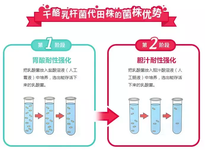 益生菌选择科普,有些益生菌吃了等于白吃!这3款不错!插图4 杭州魏老爸测7款益生菌!有些益生菌吃了等于白吃!这3款不错!