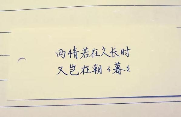 朋友圈的不離不棄的唯美句子因為疼惜所以不離不棄