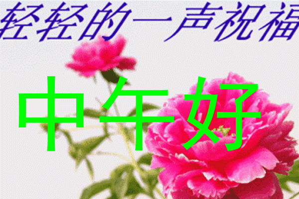 中午好的问候语简单中午好高情商问候