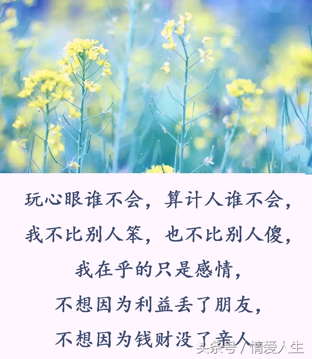 请不要拿我当傻子