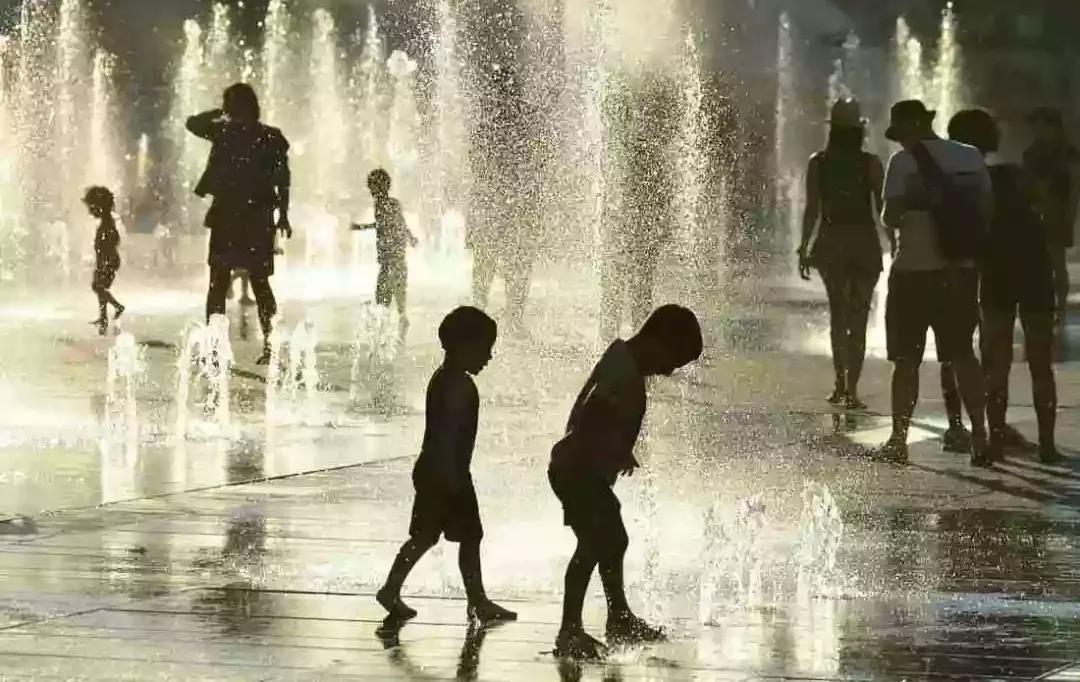 哭了！北极圈罕见32℃高温，北极熊或在40年内迎来灭绝