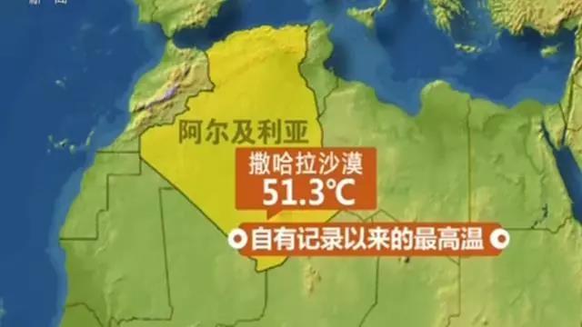 哭了！北极圈罕见32℃高温，北极熊或在40年内迎来灭绝