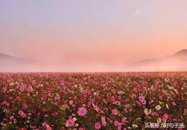 2021简单快乐的心态句子 让人心情好的幽默句子图片