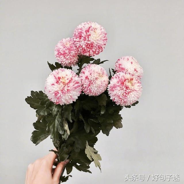 适合表达心情的说说 自己的说说怎么发朋友圈图片