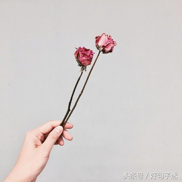 适合表达心情的说说 自己的说说怎么发朋友圈图片