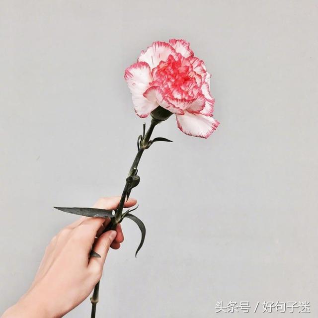 适合表达心情的说说 自己的说说怎么发朋友圈图片