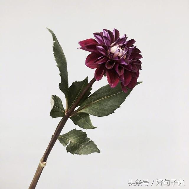 适合表达心情的说说 自己的说说怎么发朋友圈图片