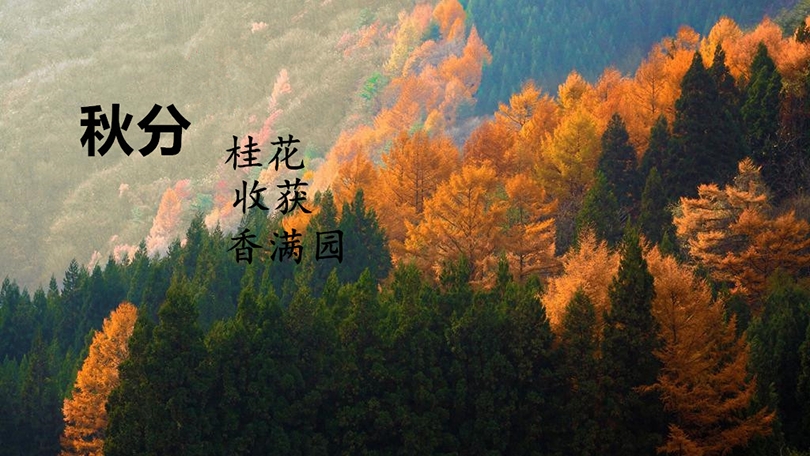 精美的二十四节气顺口溜图片,(内附歌谣