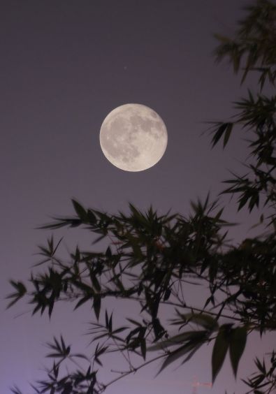 但愿秋风扫残暑 乞得世界一夜凉-第24张图片-非凡网