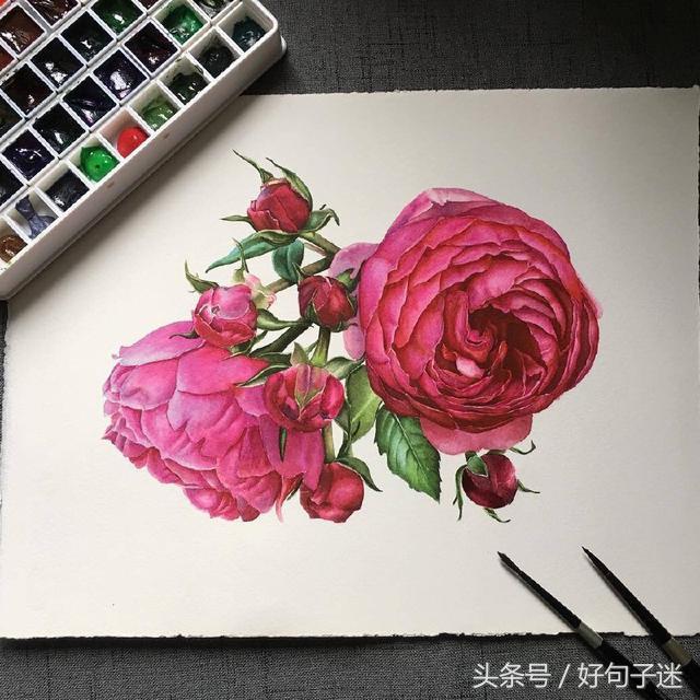 有诗意的唯美个性说说：安得与君相决绝，免教生死作相思图片
