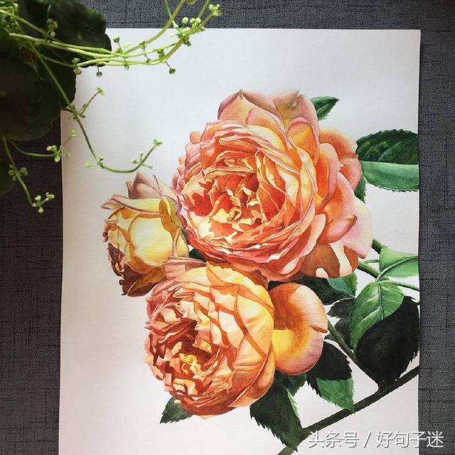 有诗意的唯美个性说说：安得与君相决绝，免教生死作相思图片