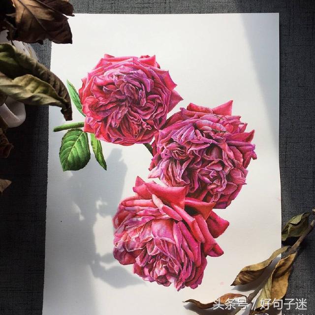 有诗意的唯美个性说说：安得与君相决绝，免教生死作相思图片