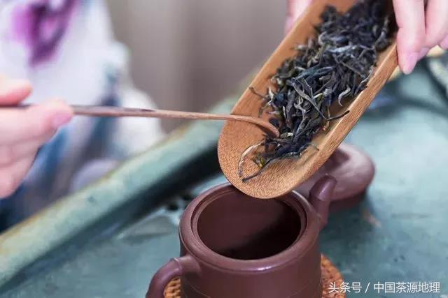 记住7个泡茶步骤，快速进阶泡茶高手