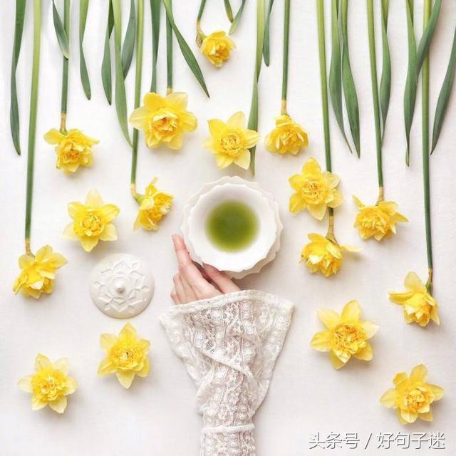 优美的,很有意境的句子 唯美的句子说说心情图片