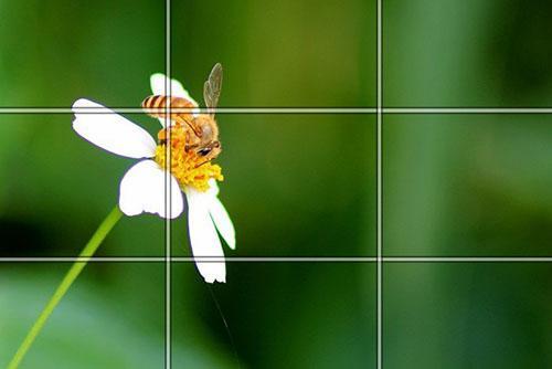 目前为止最详细、最全的三分构图法 基础