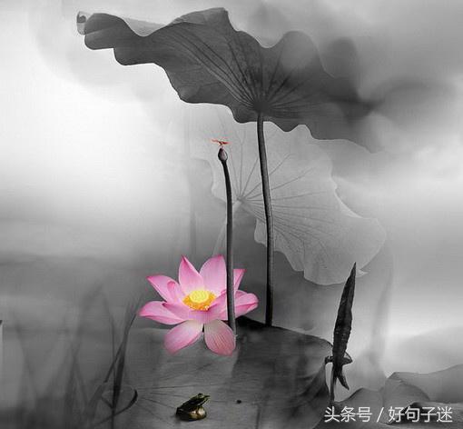 超精致的唯美句子 送给自己唯美的一句话图片