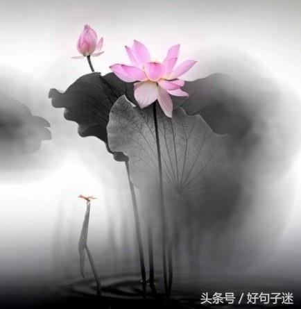 超精致的唯美句子 送给自己唯美的一句话图片