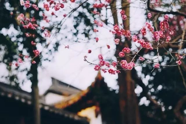 十首爱情诗词：一首诗词，一段情深！-第9张图片-非凡网