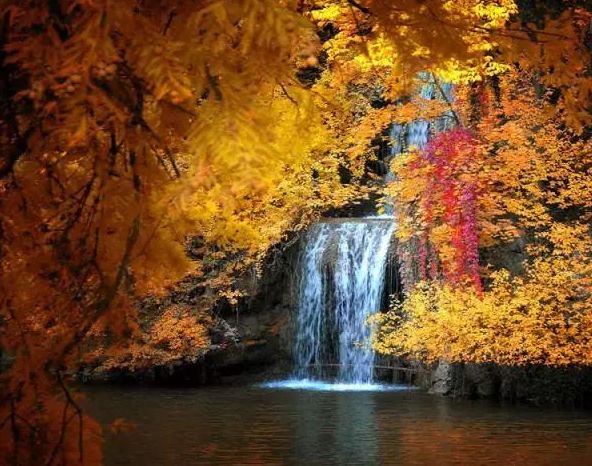 在诗词里品读色彩缤纷的秋天-第12张图片-诗句网