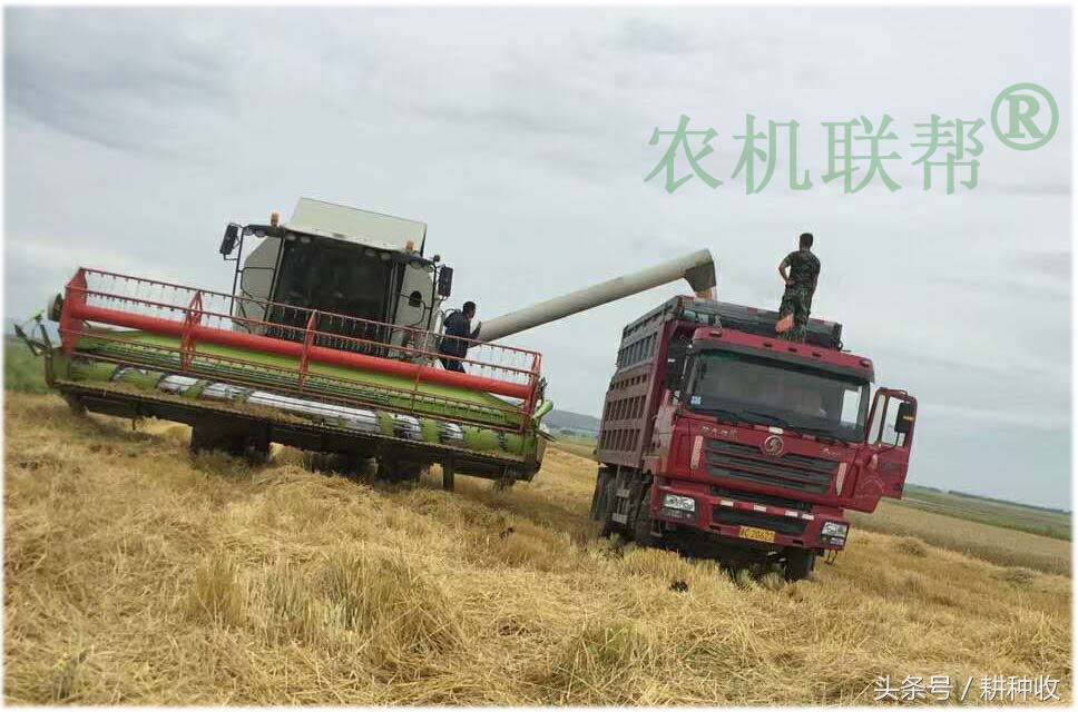 實(shí)拍我國(guó)西部地區(qū)引進(jìn)的世界級(jí)農(nóng)業(yè)機(jī)械，開(kāi)眼界了