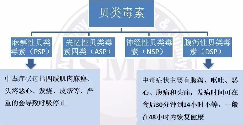 沿海旅行知識1，關(guān)于各種貝類的名字、區(qū)別、產(chǎn)地、吃法（下）