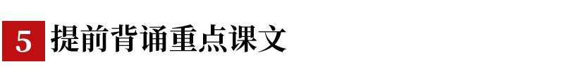 6NA+8NPӛţmòͬWWڳɿ+++