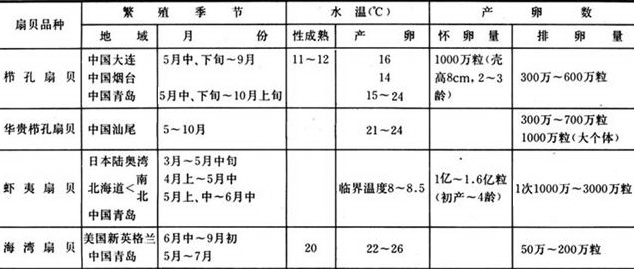 沿海旅行知識1，關(guān)于各種貝類的名字、區(qū)別、產(chǎn)地、吃法（下）