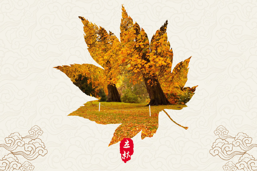 描写秋天的优美诗句 秋天的诗句景色图片