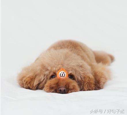 很酷的十字短句:我时常有病，你永远有药图片