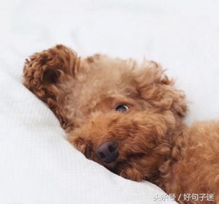 很酷的十字短句:我时常有病，你永远有药图片