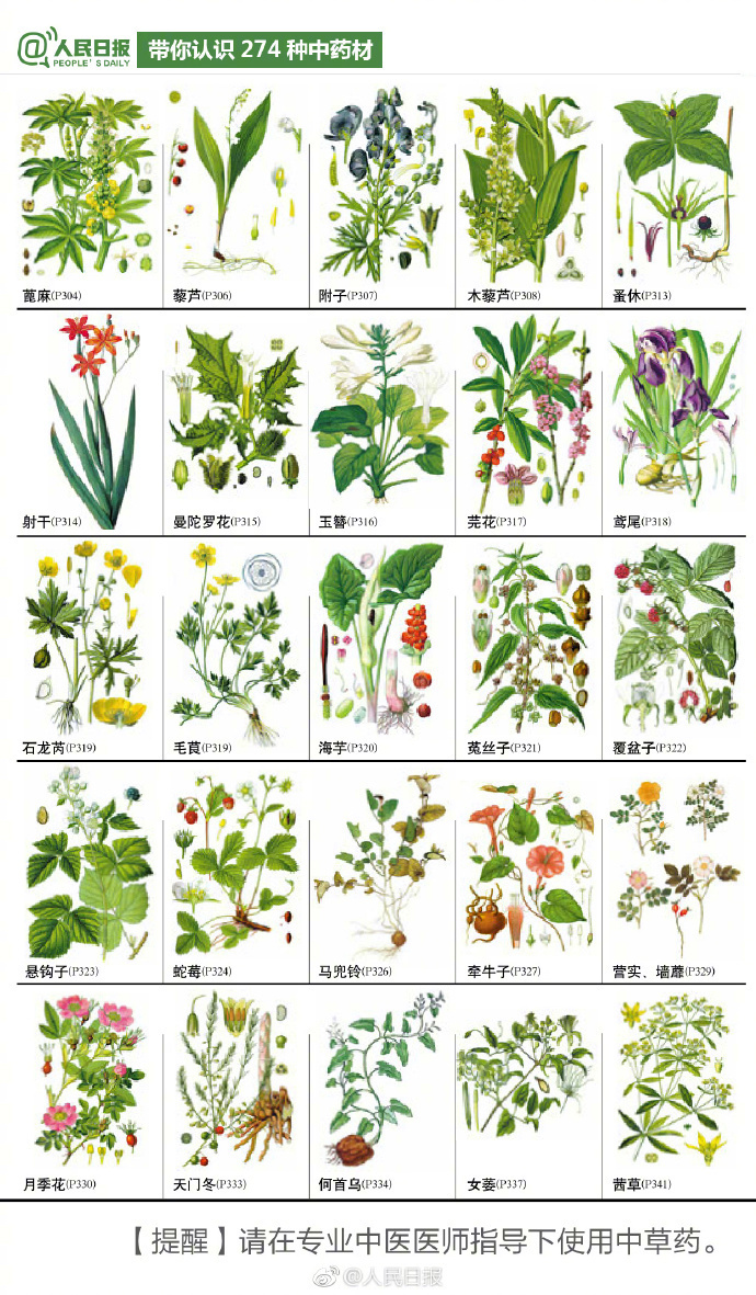 274种中草药材，你认识几个？-第5张图片-农百科