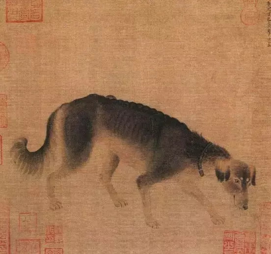 狗在古代战场上都有什么作用?电影《狼伴归途》没告诉你的那些事