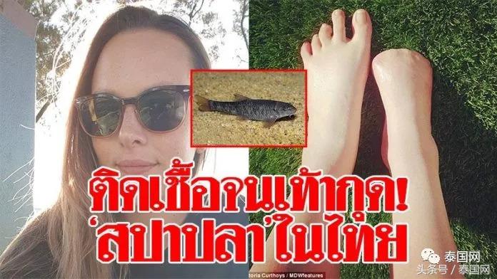 火遍全泰的这种“小鱼啃脚Spa”，你可知有多大健康风险？