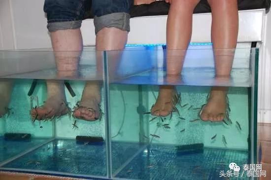火遍全泰的這種“小魚(yú)啃腳Spa”，你可知有多大健康風(fēng)險(xiǎn)？